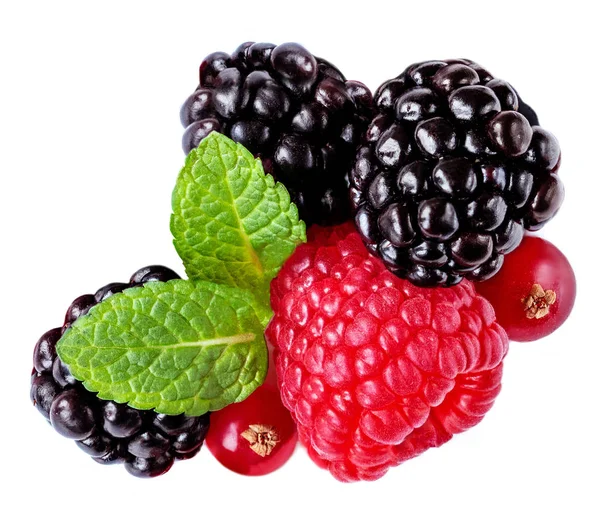 Geïsoleerde gemengde bessen. Framboos, Cranberry, Blackberry en Min — Stockfoto