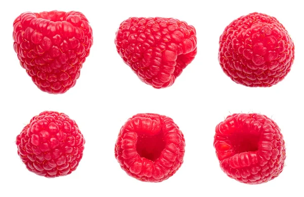 Raspberry isolated on white background. Red Berry Collection. Ma — Stock Photo, Image