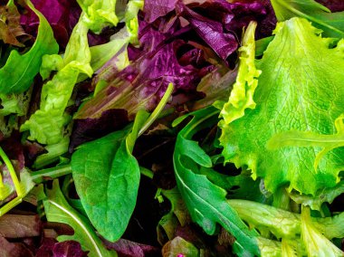 Salata karışımı arka plan bırakır. Taze salata deseni ile rucola, pu