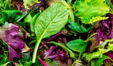 Salata karışımı arka plan bırakır. Taze salata deseni ile rucola, pu