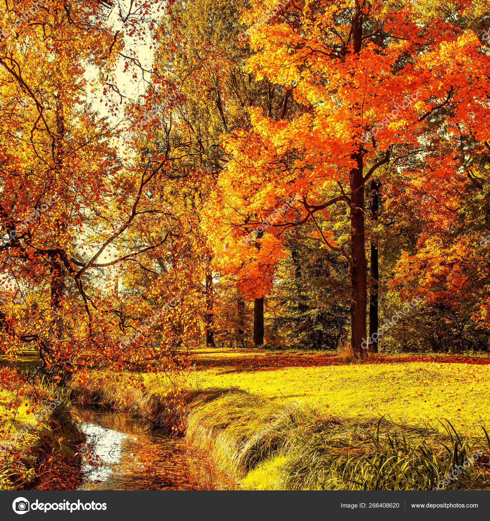 Autumn Fall Scene Countryside Landscape Red Yellow Maple Leaves Trees ...