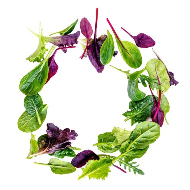 Salata Mix beyaz arka plan üzerinde izole. Fres'ten Yapılmış Yemek Çerçevesi