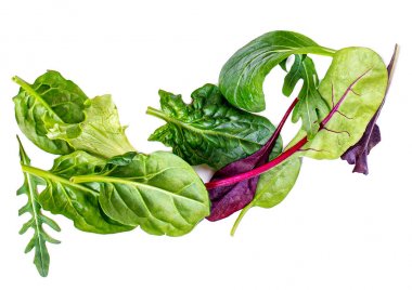 Beyaz arka planda izole Salata Yaprakları Yığını. Yeşil salata 