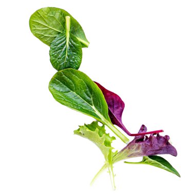  Ispanak, Pazı, marul, rucol ile Izole Karışık Salata yaprakları