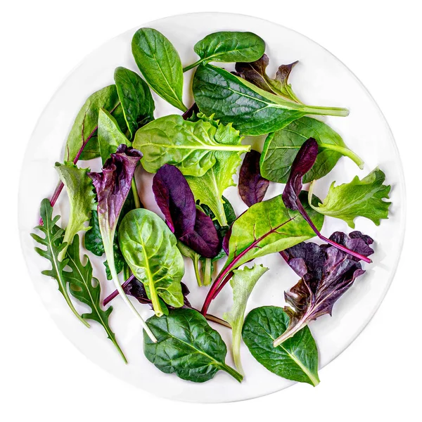 Verse salade plaat met spinazie, snijbiet, sla, rucola geïsoleerd — Stockfoto
