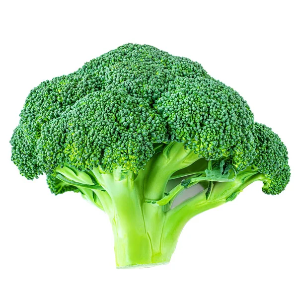 Brokuły izolowane na białym tle. Świeży zielony brokuły Vege — Zdjęcie stockowe