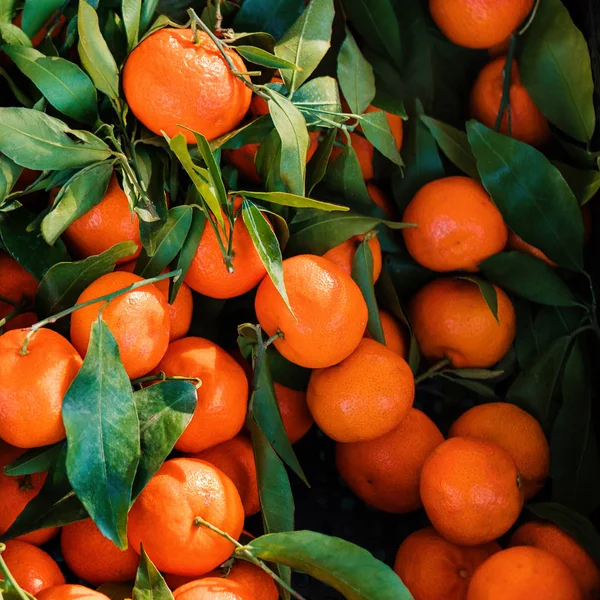 Mandarinky, tangerin nebo klementin se zelenými listy jako backg — Stock fotografie