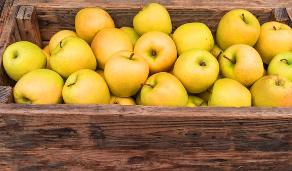 Yellow apples in wooden box close up. Autumn and fall harvest ba — Stock Photo, Image
