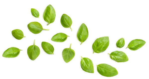 Flying Fresh basil herb leaves isolated on white background. Top — Stock Photo, Image