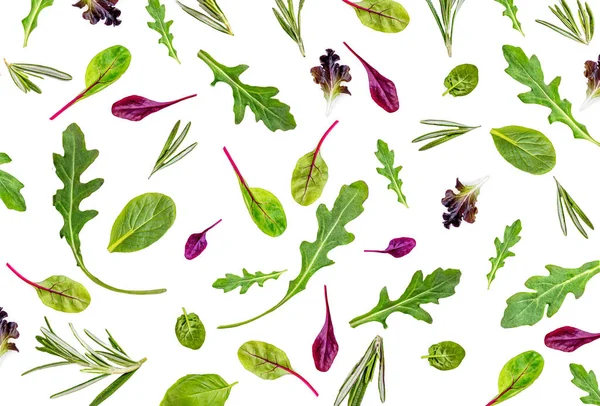 Modello con foglie di insalata. Insalata mista isolata con spinaci, Ch — Foto Stock