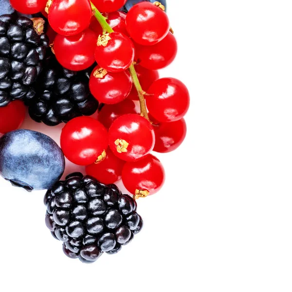 Berry mix geïsoleerd op een witte achtergrond. Diverse verse bessen. — Stockfoto