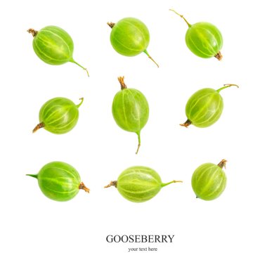 Yeşil Bektaşi üzümünden yapılmış yaratıcı düzen. Taze Gooseberries iso