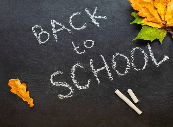 Back to school concept. Black chalkboard with pieces of chalks a — Stock Photo, Image