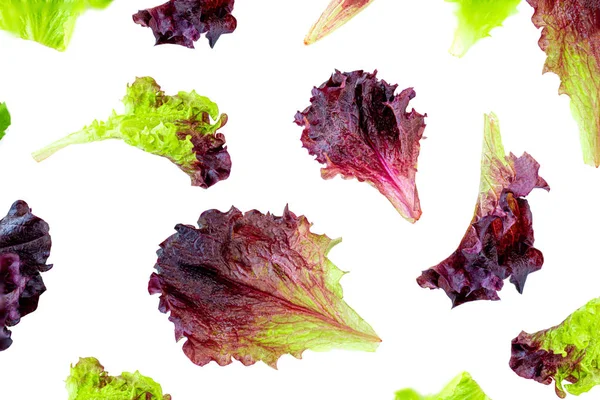 Листя салату Візерунок. Свіжий салат ізольований на білому фоні — стокове фото