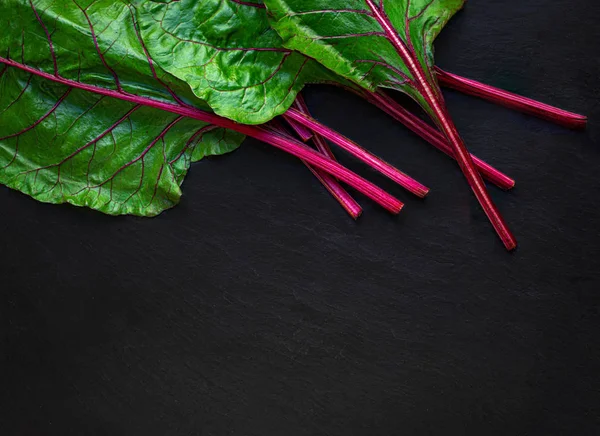 Ruibarbo sobre fondo oscuro. Tallos de ruibarbo rojo fresco con verde — Foto de Stock