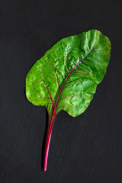 Ruibarbo sobre fundo escuro. haste ruibarbo vermelho fresco com le verde — Fotografia de Stock