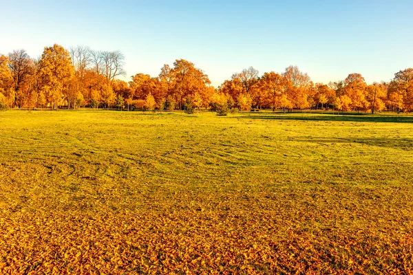 Paisaje de otoño. Árboles amarillos en el parque con sol cálido a — Foto de Stock