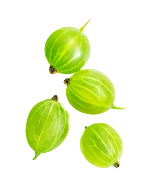 Gooseberry Isolated. Fresh berries  on white background. Flat la