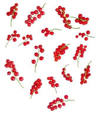 Çeşitli kırmızı frenk üzümü meyveleri. Taze Frenk Üzümü beyaz izole 