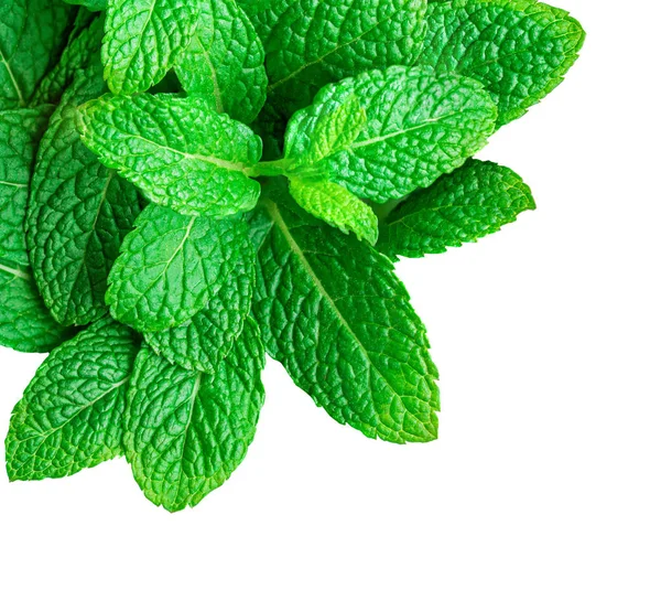 Hojas de menta aisladas sobre fondo blanco. Montón de hoja de menta verde — Foto de Stock