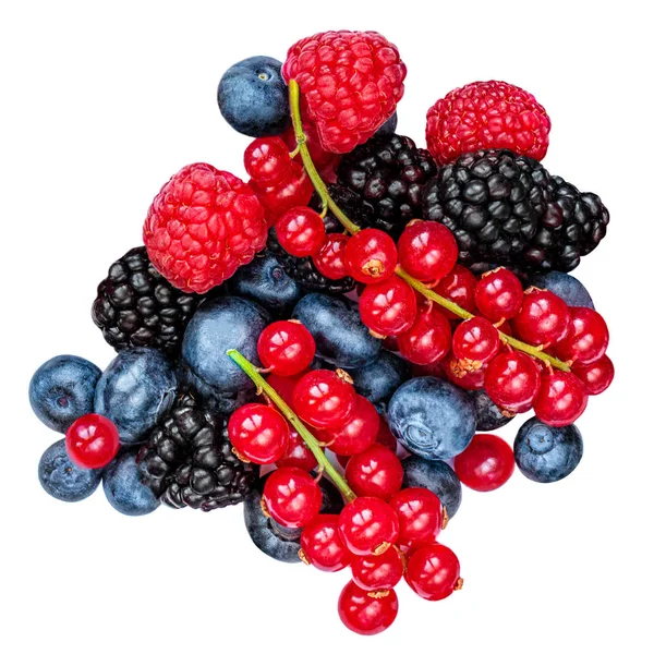 Куча смешанных свежих ягод на белом фоне. Рас — стоковое фото
