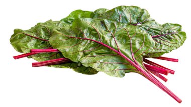 Rhubarb sebze beyaz arka plan üzerinde izole. Taze kırmızı rhubar