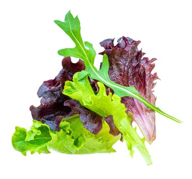 Salata izole bırakır. Ispanak, Pazı ile Karışık Salata yaprakları, 