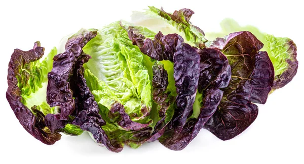 Feuilles de laitue isolées sur fond blanc. Feuille de salade fraîche cl — Photo