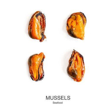 Yaratıcı düzen midye beyaz arka plan üzerinde izole yapılmış. Se