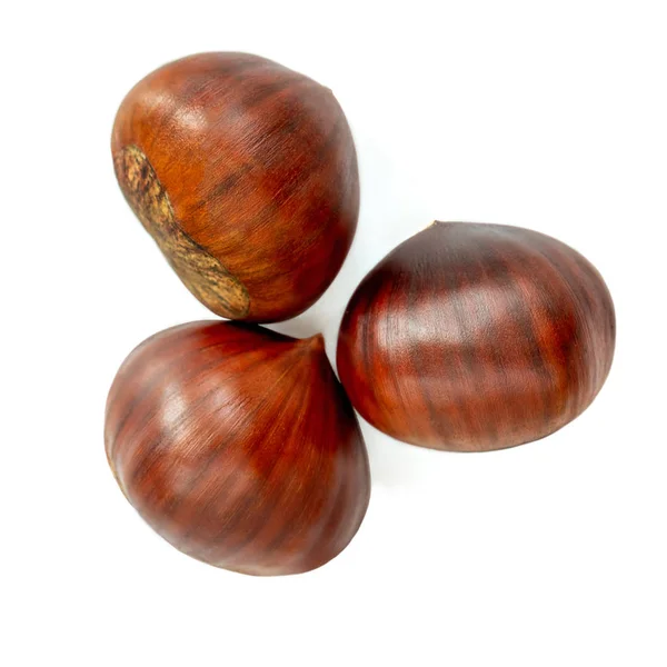 Chestnut Isolated. Ripe sweet chestnuts for Christmas  on white — Stock Photo, Image