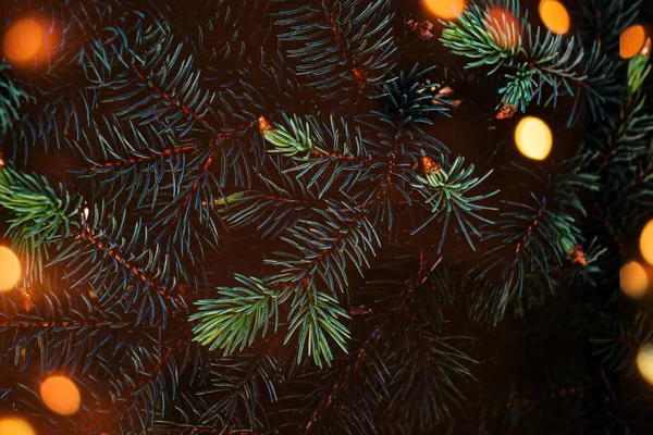 Layout creativo fatto di rami di albero di Natale con g astratto — Foto Stock