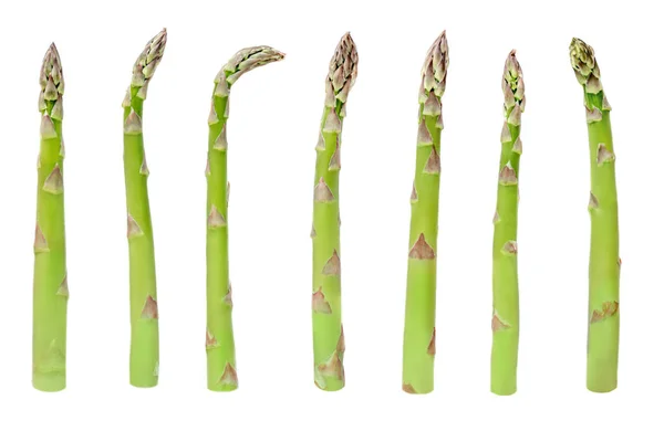 Asparagi isolati. Raccolta di asparagi freschi vapori su whi — Foto Stock