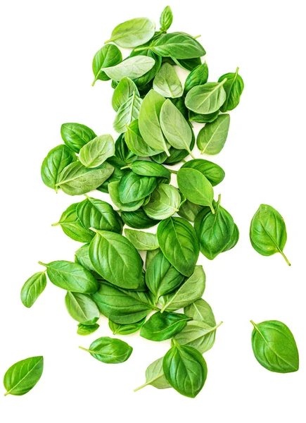Organic Basil herb leaves isolated on white background. Basil  F — Stock Photo, Image