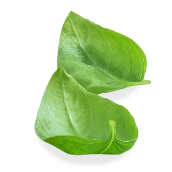 Basil herb leaves isolated on white background. — Stock Photo, Image