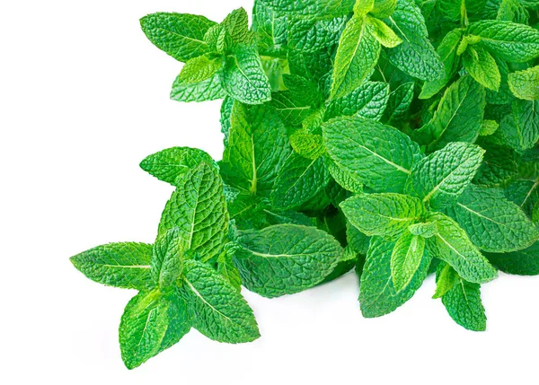 Peppermint Isolated. Fresh mint leaves heap  on white background — Stock Photo, Image