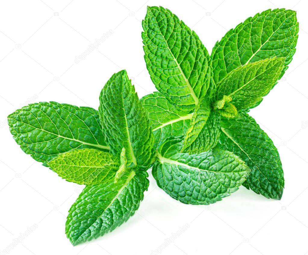 Peppermint Isolated. Fresh mint leaves on white background, top 