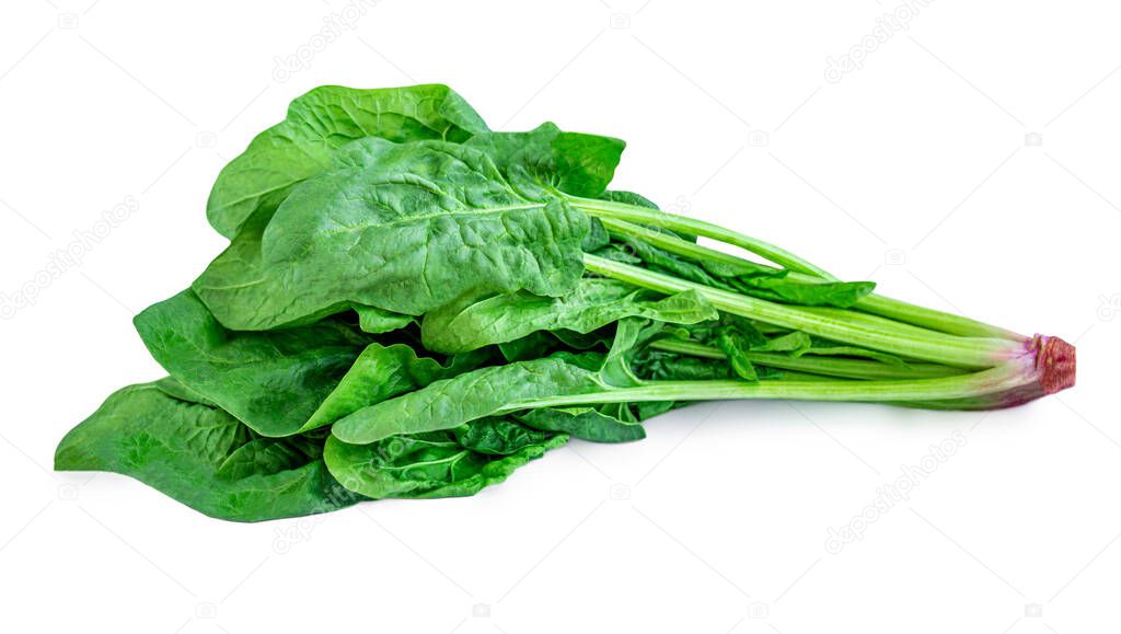 Spinach leaves   isolated on white background.  Fresh Spinach. 