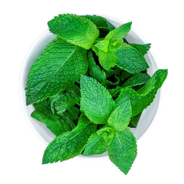 Foglie Menta Fresca Isolate Sullo Sfondo Bianco Zecca Menta Piperita — Foto Stock