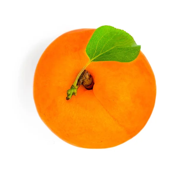 Apricot Isolated Fresh Apricot Leaves White Macro Top View — Stock Photo, Image