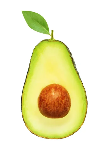 Avocado Isoliert Auf Weißem Hintergrund Avocado Haas Ganze Und Halbiert — Stockfoto