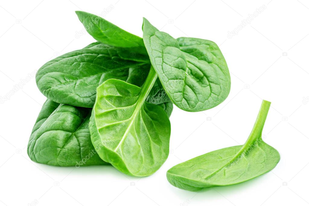 Spinach leaves isolated  on white background. Fresh spinach Close up