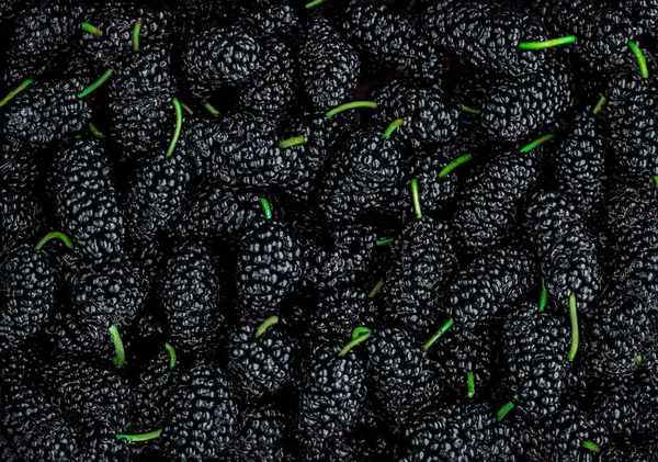 Mulberry Bessen Achtergrond Mulberries Wallpaper Zomer Gezond Voedsel Concept — Stockfoto