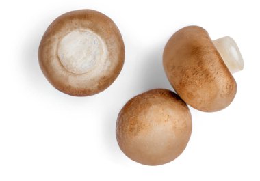 Beyaz arka planda izole edilmiş taze şampiyon mantarları. Üst Manzara. Şampiyon makro objec