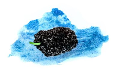 Beyaz arka plan makrosu üzerine izole edilmiş taze dut çilekleri. Soyut kavram