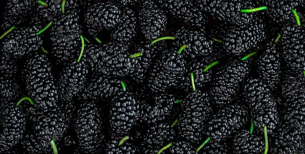 Mulberry Background Organic Mulberrys Top View Fresh Black Berries Wide — Stock Photo, Image