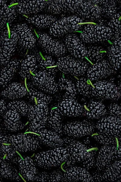 Mulberry Bakgrund Mulberry Sommarfrukt Närbild Frisk Mulberrys Ovanifrån Svart Bär — Stockfoto