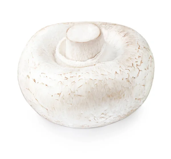 Cogumelo Champignon Fresco Isolado Fundo Branco Cogumelo Comestível Perto — Fotografia de Stock