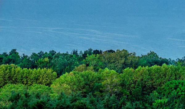 Scenery View Sea Water Green Trees Horizont Line Nature Image — Stock Photo, Image