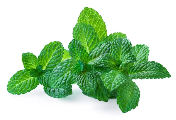 Foglie Menta Piperita Isolate Fondo Bianco Menta Fresca Foglie Menta — Foto Stock