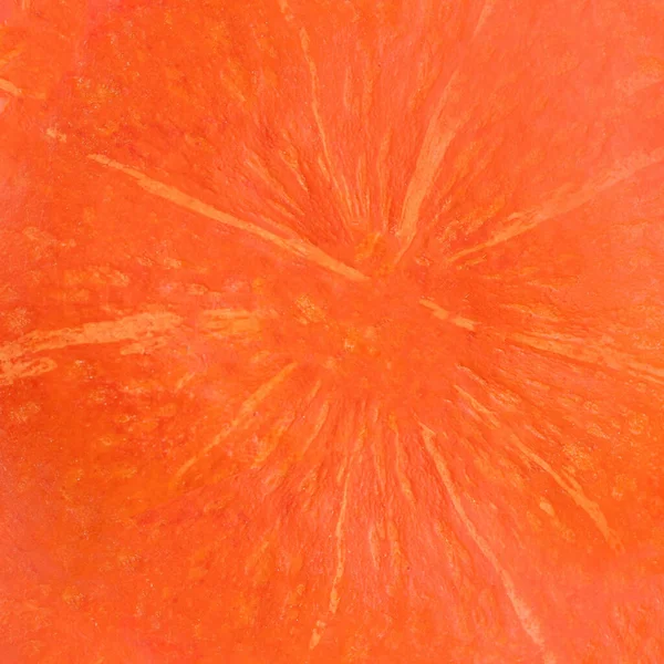 Autumn Pumpkin Thanksgiving Background - orange pumpkins texture, close u